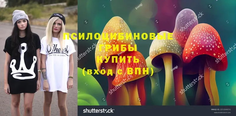 Галлюциногенные грибы MAGIC MUSHROOMS  мориарти официальный сайт  Люберцы 